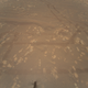 The Ingenuity Mars Helicopter captured it with its color camera during its second successful flight test on April 22, 2021.
